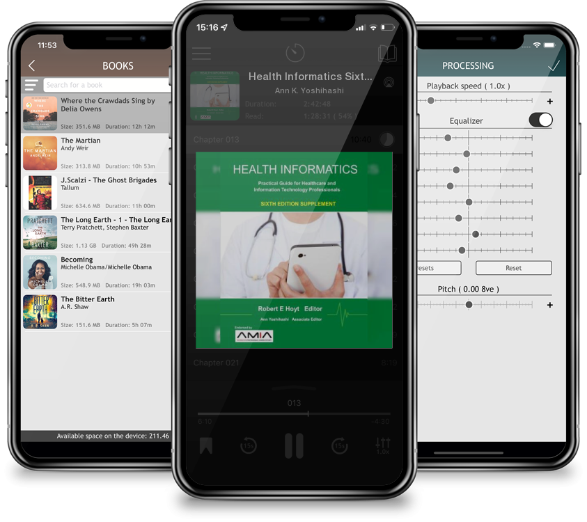 Audiobook Health Informatics Sixth Edition Supplement: Practical Guide for Healthcare and Information Technology Professionals by Ann K. Yoshihashi