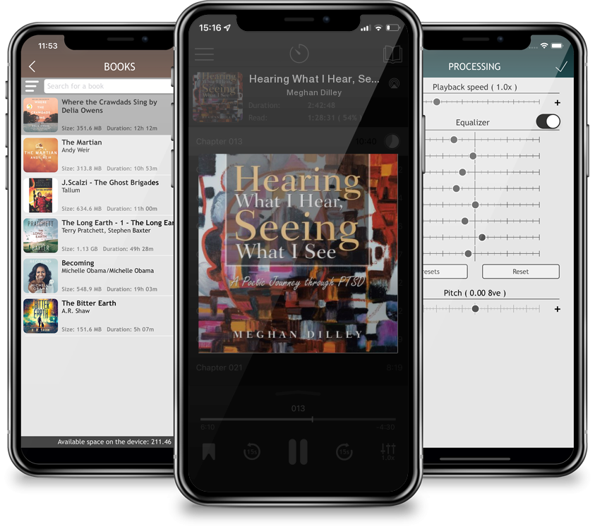 Audiobook Hearing What I Hear, Seeing What I See: A Poetic Journey Through Ptsd by Meghan Dilley