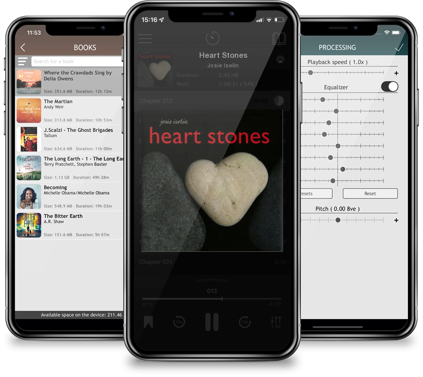 Audiobook Heart Stones by Josie Iselin