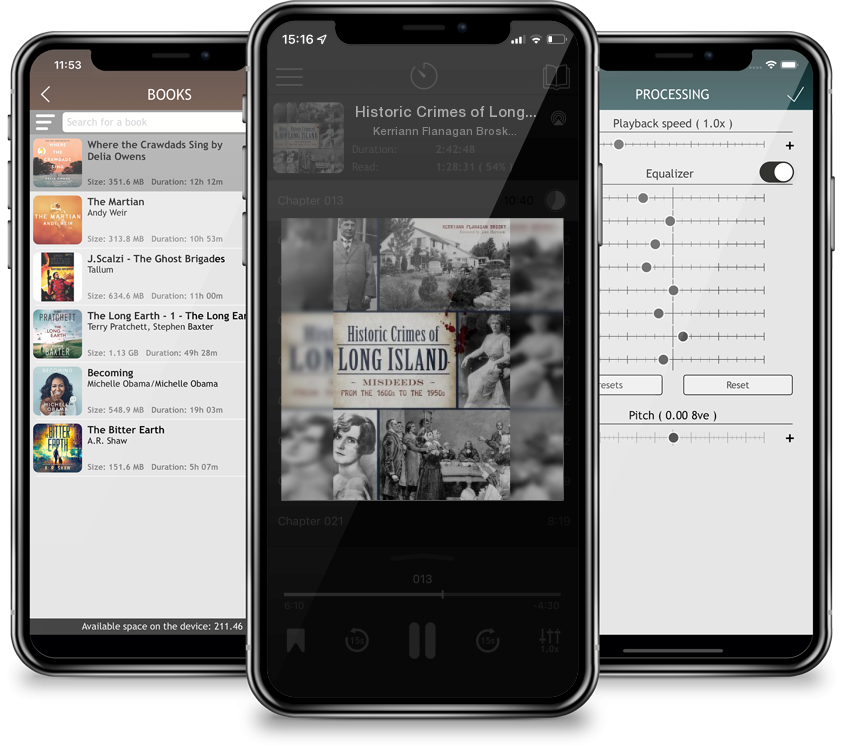 Audiobook Historic Crimes of Long Island: Misdeeds from the 1600s to the 1950s by Kerriann Flanagan Brosky