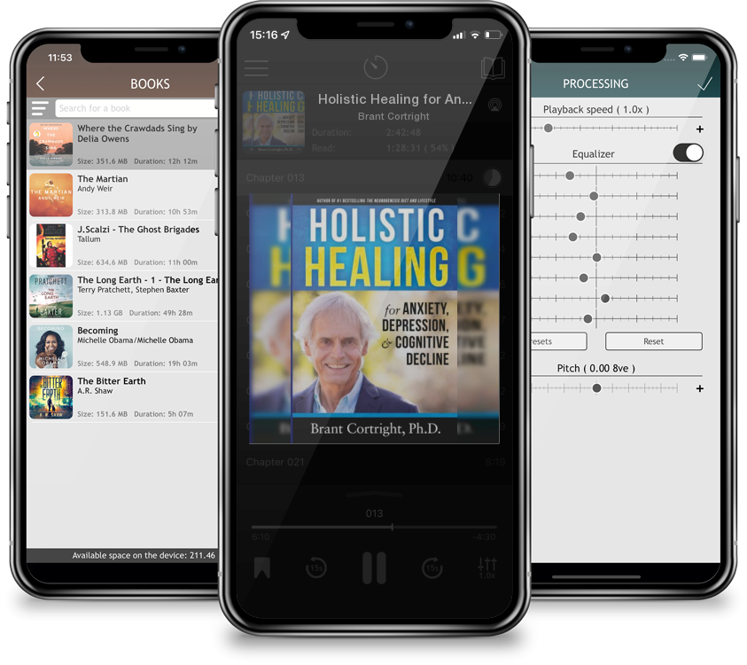 Audiobook Holistic Healing for Anxiety, Depression, and Cognitive Decline by Brant Cortright