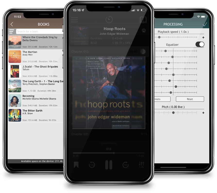 Listen Hoop Roots by John Edgar Wideman in MP3 Audiobook Player for free