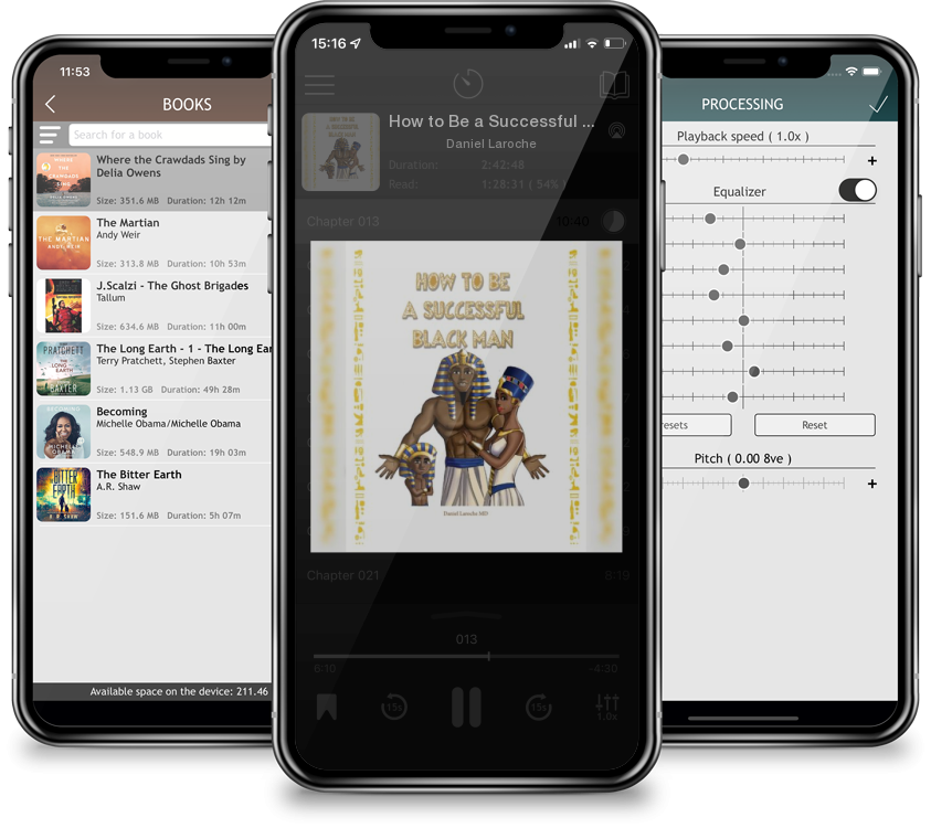 Audiobook How to Be a Successful Black Man by Daniel Laroche