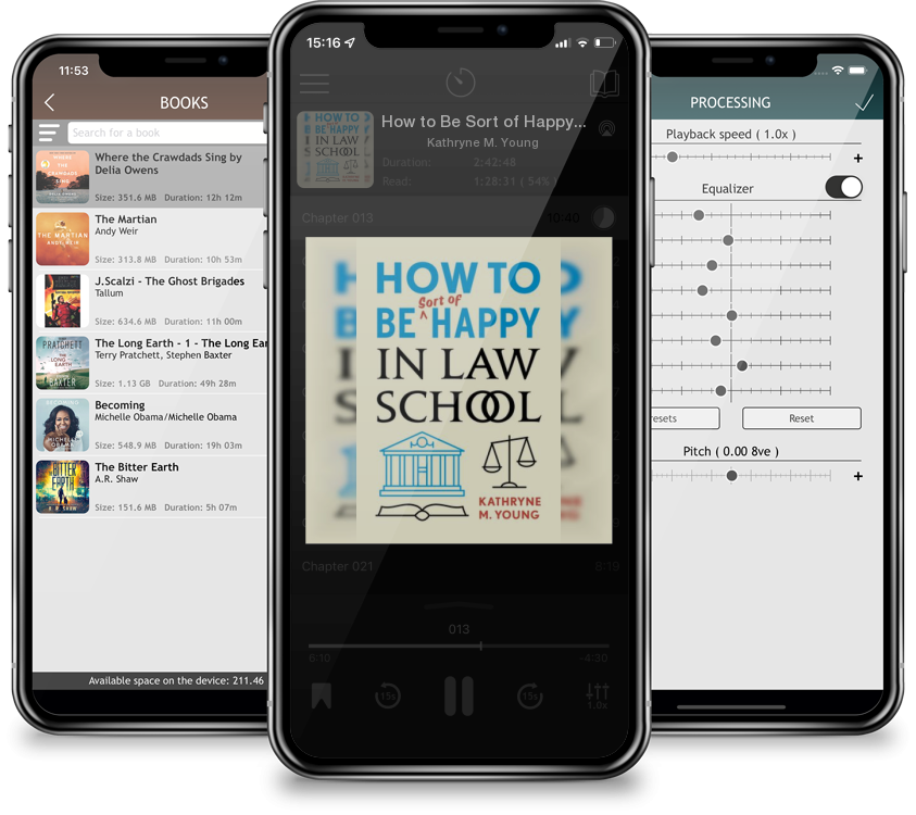Audiobook How to Be Sort of Happy in Law School by Kathryne M. Young