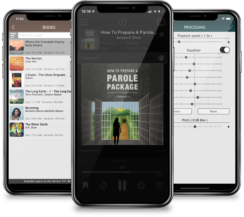 Audiobook How To Prepare A Parole Package: Triggering Your Release From Prison by Annala D' Diors