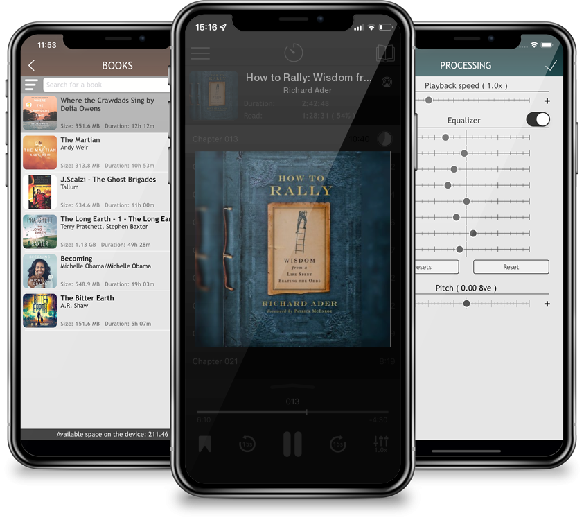 Audiobook How to Rally: Wisdom from a Life Spent Beating the Odds by Richard Ader