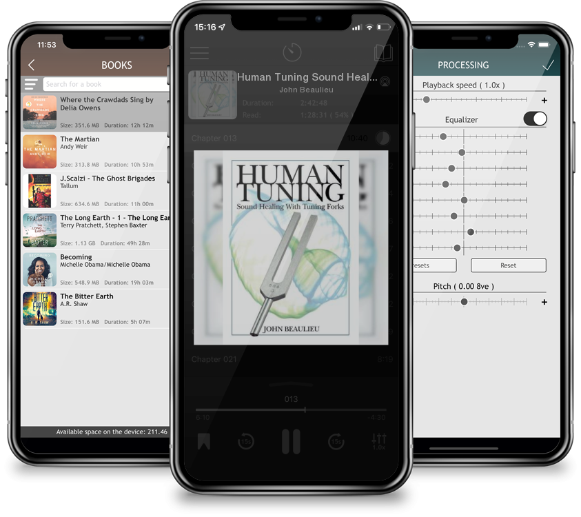 Audiobook Human Tuning Sound Healing with Tuning Forks by John Beaulieu