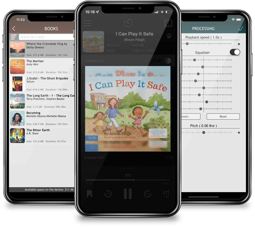Audiobook I Can Play It Safe by Alison Feigh