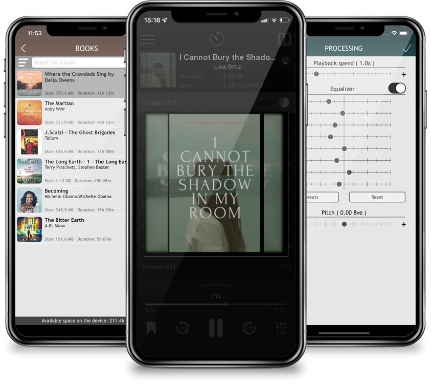 Audiobook I Cannot Bury the Shadow In My Room by Lisa Ortiz