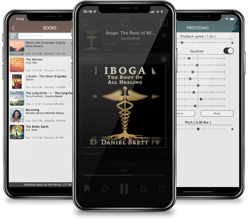 Audiobook Iboga: The Root of All Healing (Large Print / Paperback) by Daniel Brett