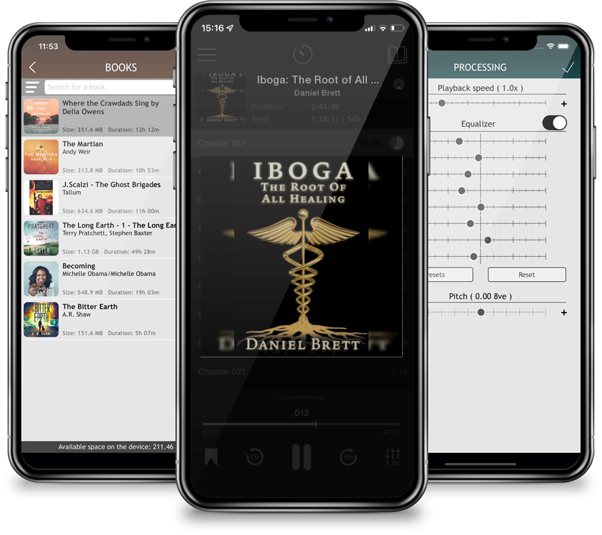 Listen Iboga: The Root of All Healing (Large Print / Paperback) by Daniel Brett in MP3 Audiobook Player for free