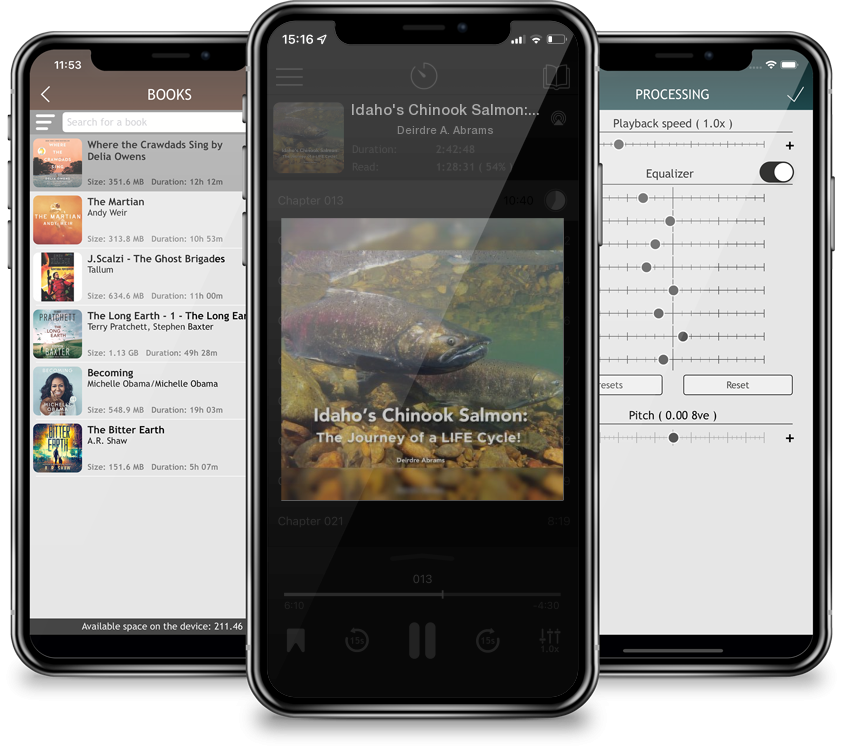 Audiobook Idaho\'s Chinook Salmon: The Journey of a LIFE Cycle by Deirdre A. Abrams