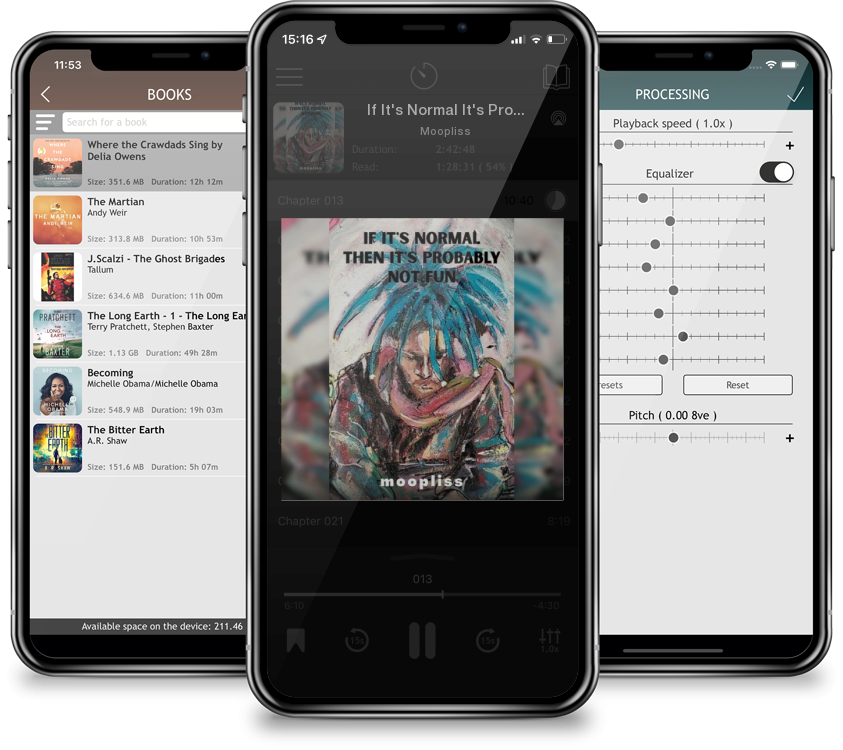 Audiobook If It\'s Normal It\'s Probably Not Fun by Moopliss