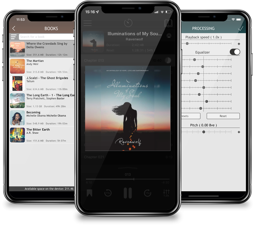 Audiobook Illuminations of My Soul (Light #1) by Ravenwolf