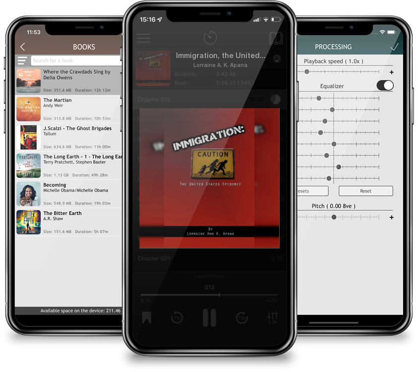 Audiobook Immigration, the United States Epidemic by Lorraine A. K. Apana