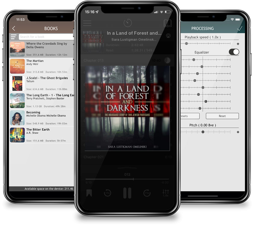 Audiobook In a Land of Forest and Darkness: The Holocaust Story of two Jewish Partisans by Sara Lustigman Omelinski