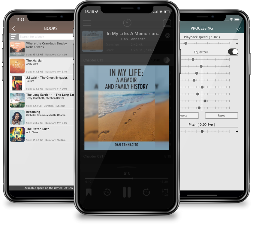 Audiobook In My Life: A Memoir and Family History by Dan Tannacito