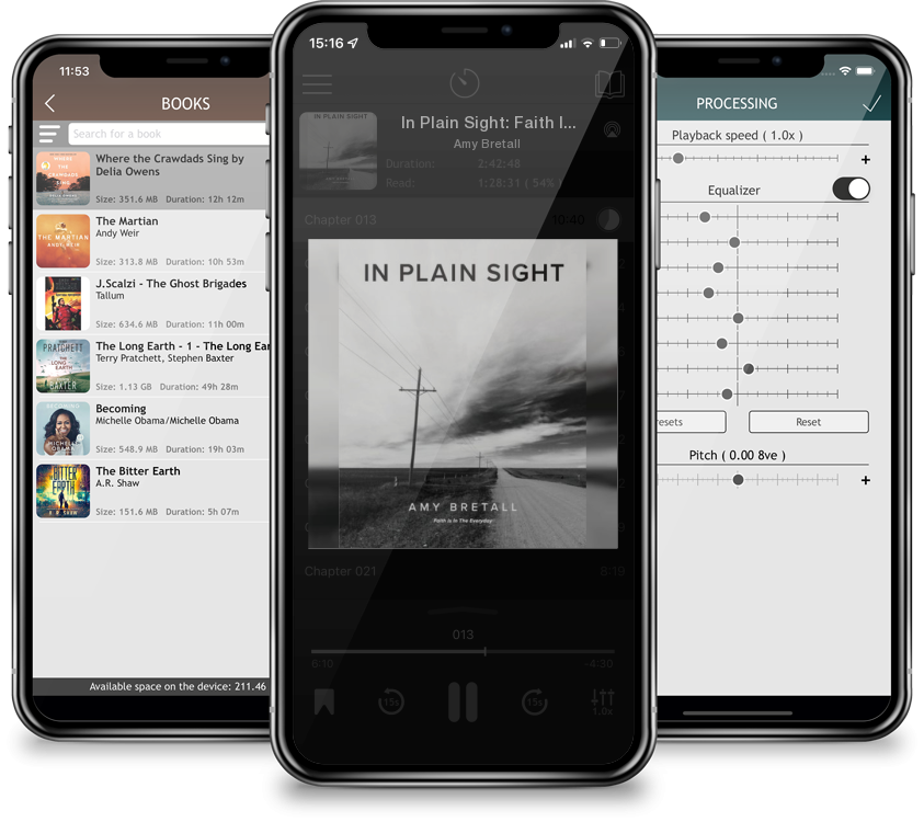 Audiobook In Plain Sight: Faith Is In The Everyday by Amy Bretall