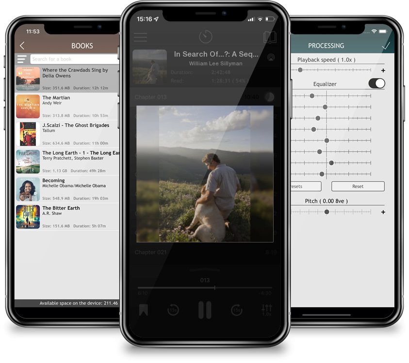 Audiobook In Search Of...?: A Sequal to \