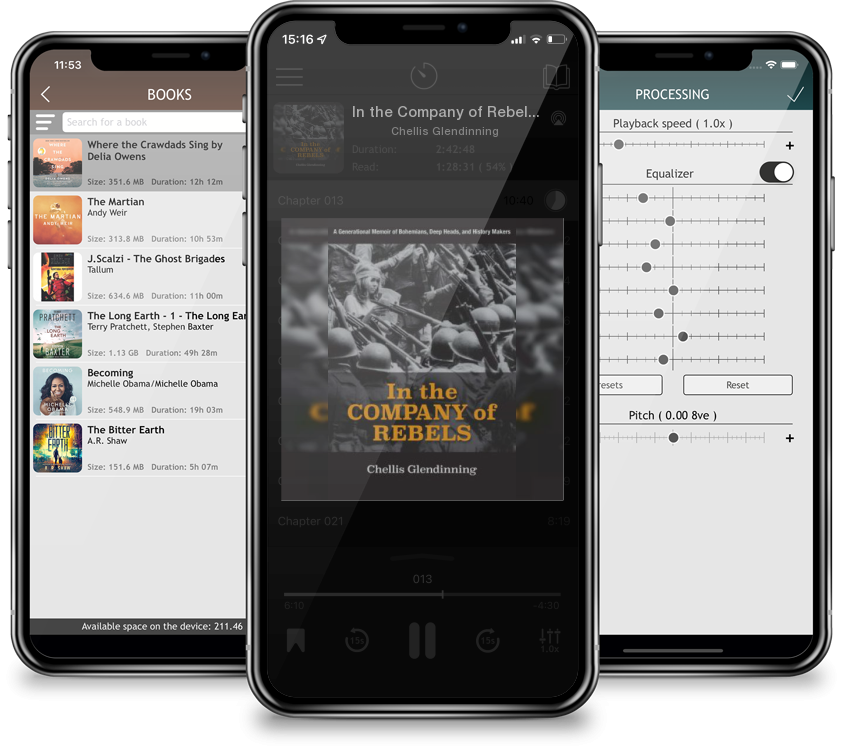 Audiobook In the Company of Rebels: A Generational Memoir of Bohemians, Deep Heads, and History Makers by Chellis Glendinning