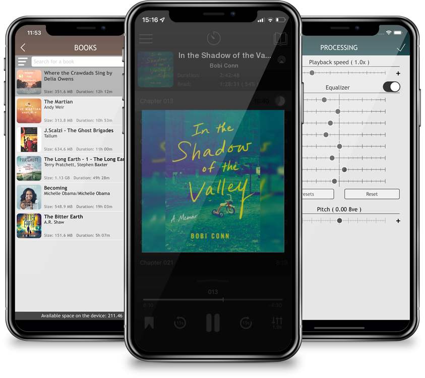 Audiobook In the Shadow of the Valley: A Memoir by Bobi Conn