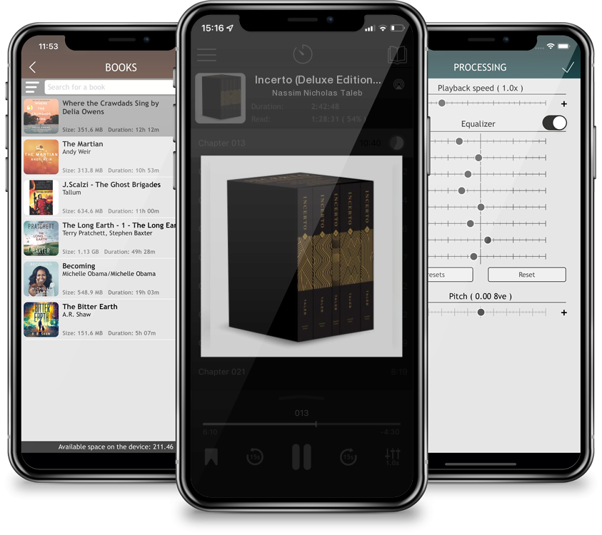 Audiobook Incerto (Deluxe Edition): Fooled by Randomness, The Black Swan, The Bed of Procrustes, Antifragile, Skin in the Game (Boxed Set) by Nassim Nicholas Taleb