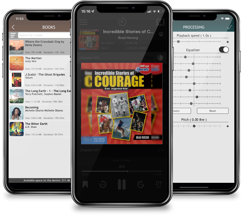 Audiobook Incredible Stories of Courage in Sports (Count on Me: Sports) by Brad Herzog