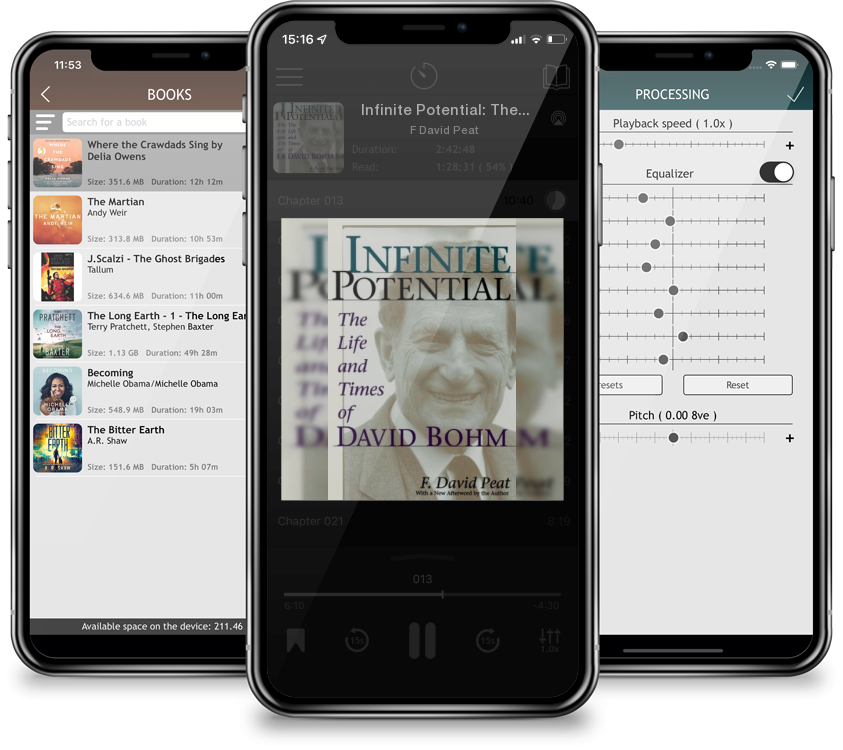 Audiobook Infinite Potential: The Life and Times of David Bohm by F David Peat