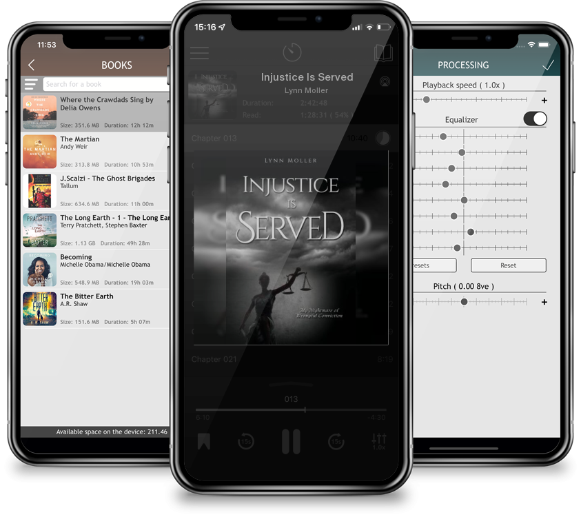 Audiobook Injustice Is Served by Lynn Moller
