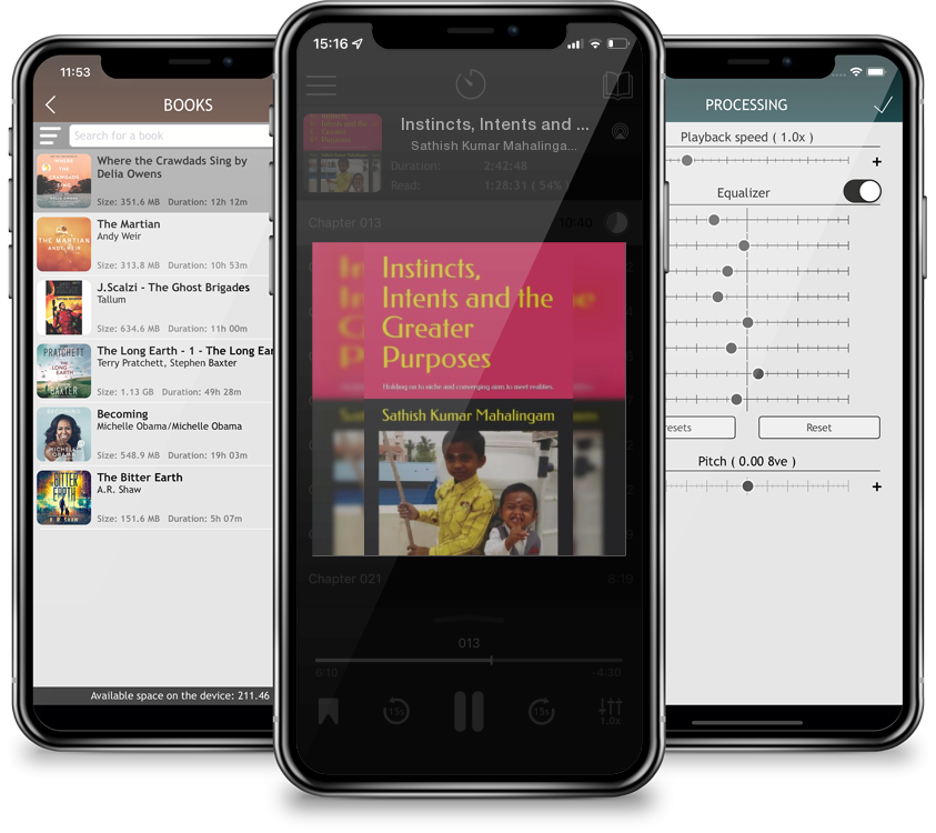 Audiobook Instincts, Intents and the Greater Purposes.: Holding on to niche and converging aims to meet realities. by Sathish Kumar Mahalingam