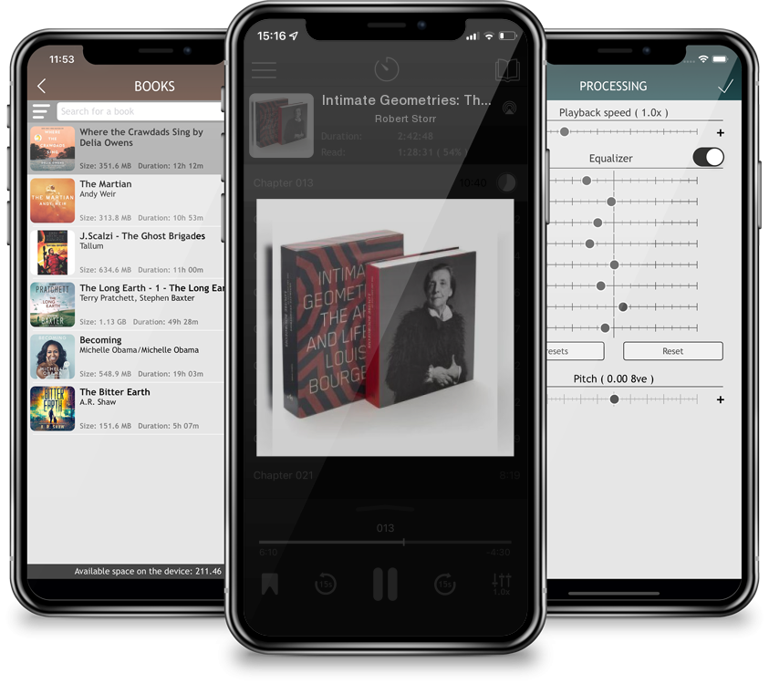 Audiobook Intimate Geometries: The Art and Life of Louise Bourgeois by Robert Storr