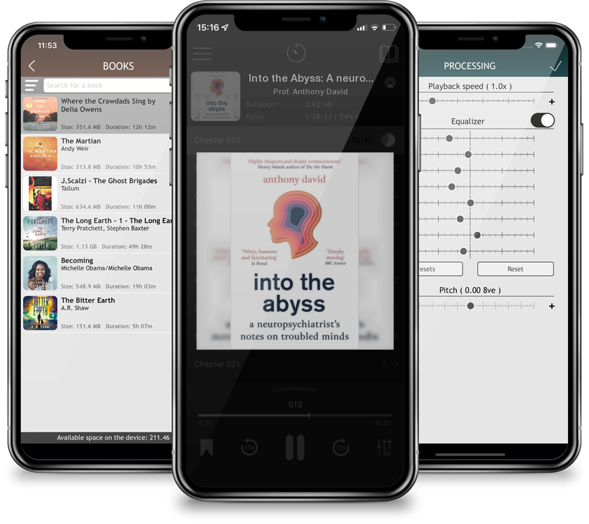 Audiobook Into the Abyss: A neuropsychiatrist\'s notes on troubled minds by Prof. Anthony David