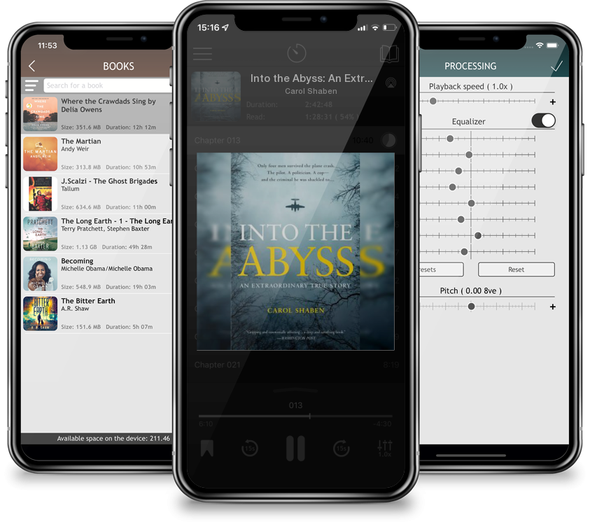 Audiobook Into the Abyss: An Extraordinary True Story by Carol Shaben