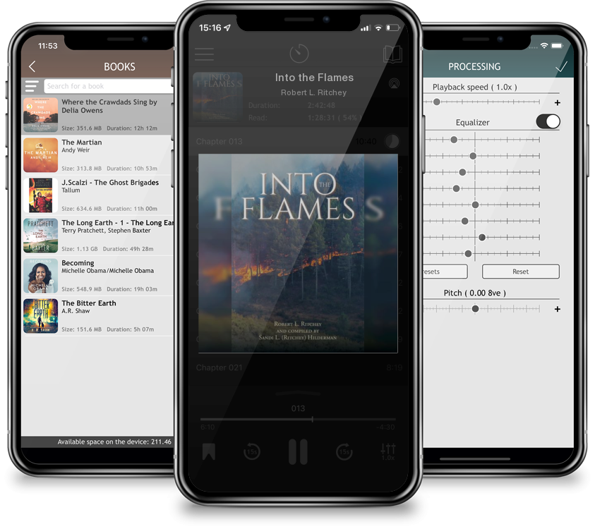 Audiobook Into the Flames by Robert L. Ritchey