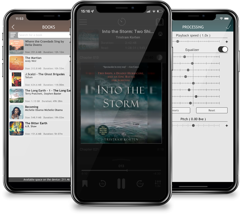 Audiobook Into the Storm: Two Ships, a Deadly Hurricane, and an Epic Battle for Survival by Tristram Korten