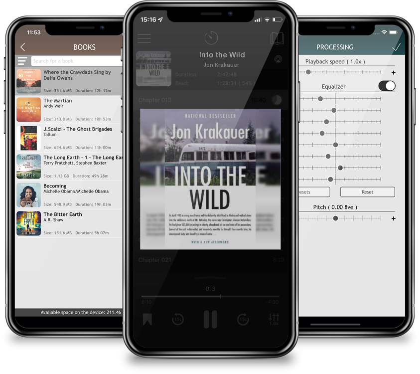 Audiobook Into the Wild by Jon Krakauer