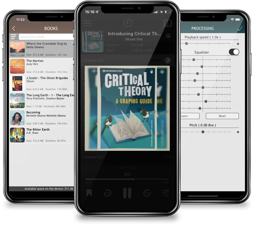 Audiobook Introducing Critical Theory: A Graphic Guide by Stuart Sim