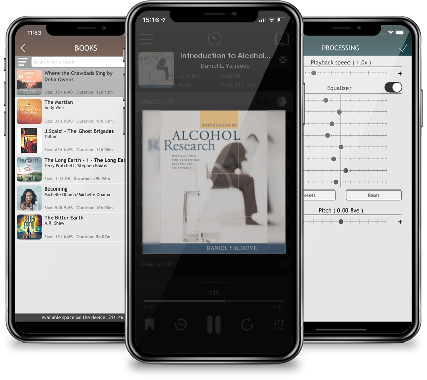 Audiobook Introduction to Alcohol Research: Implications for Treatment, Prevention, and Policy by Daniel L. Yalisove
