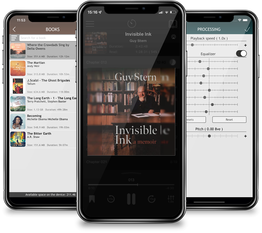 Audiobook Invisible Ink by Guy Stern