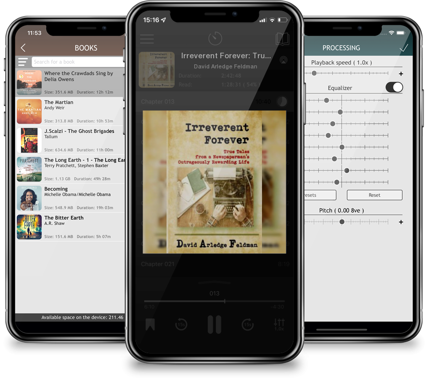 Audiobook Irreverent Forever: True Tales from a Newspaperman\'s Outrageously Rewarding Life by David Arledge Feldman