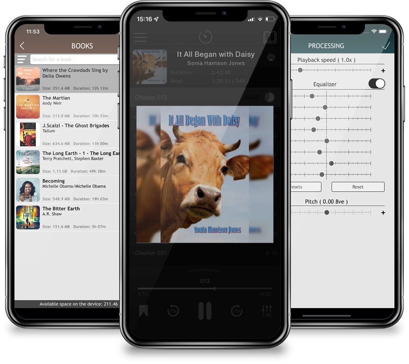 Audiobook It All Began with Daisy by Sonia Harrison Jones