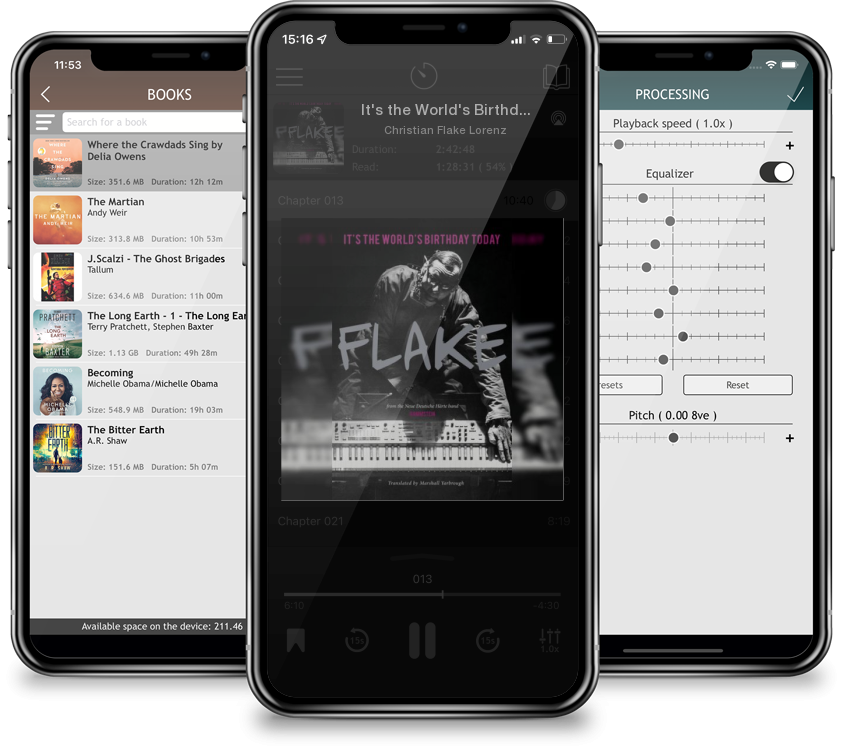 Audiobook It\'s the World\'s Birthday Today by Christian Flake Lorenz