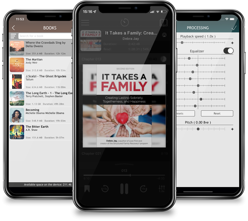 Audiobook It Takes a Family: Creating Lasting Sobriety, Togetherness, and Happiness (Love First Family Recovery) by Debra Jay