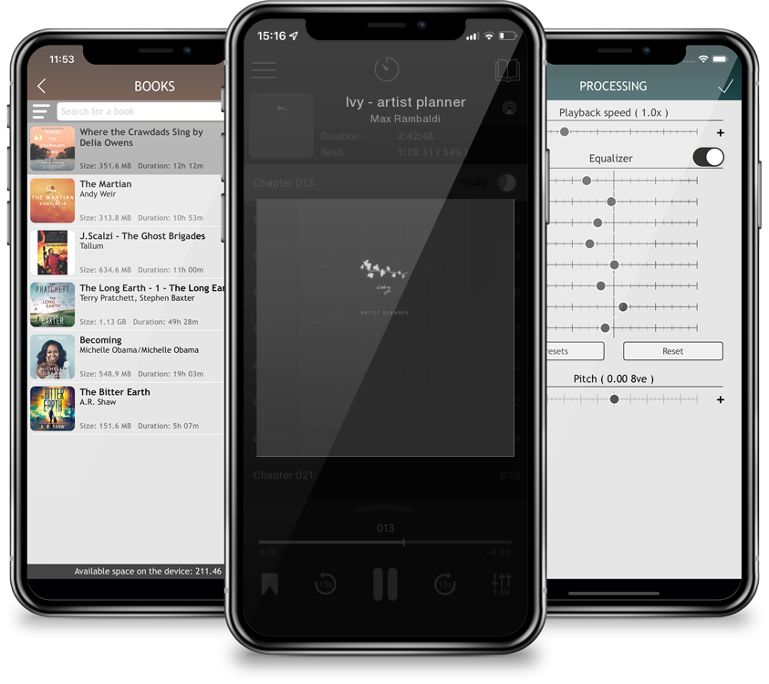 Audiobook Ivy - artist planner by Max Rambaldi