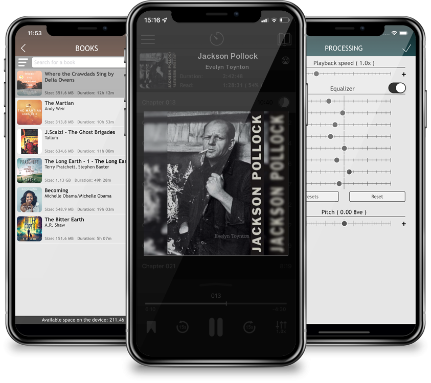 Audiobook Jackson Pollock by Evelyn Toynton