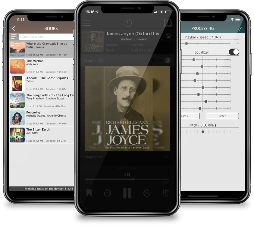 Audiobook James Joyce (Oxford Lives) by Richard Ellmann
