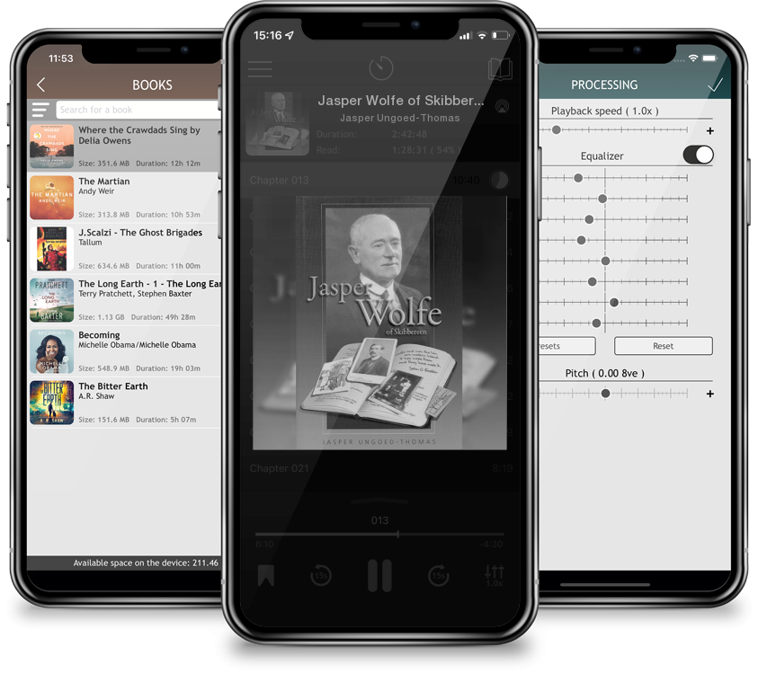 Audiobook Jasper Wolfe of Skibbereen by Jasper Ungoed-Thomas