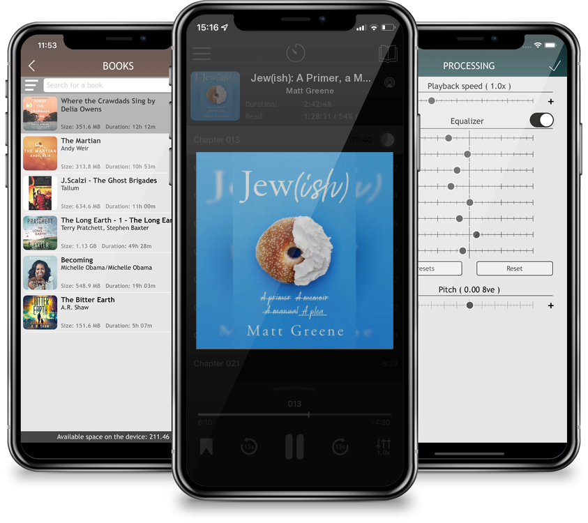 Audiobook Jew(ish): A Primer, a Memoir, a Manual, a Plea (Compact Disc) by Matt Greene