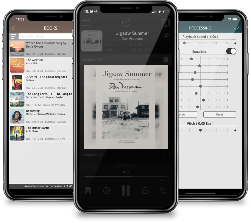 Audiobook Jigsaw Summer by Don Freeman