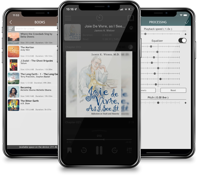 Audiobook Joie De Vivre, as I See It: Reflections on Youth and Maturity by James K. Weber
